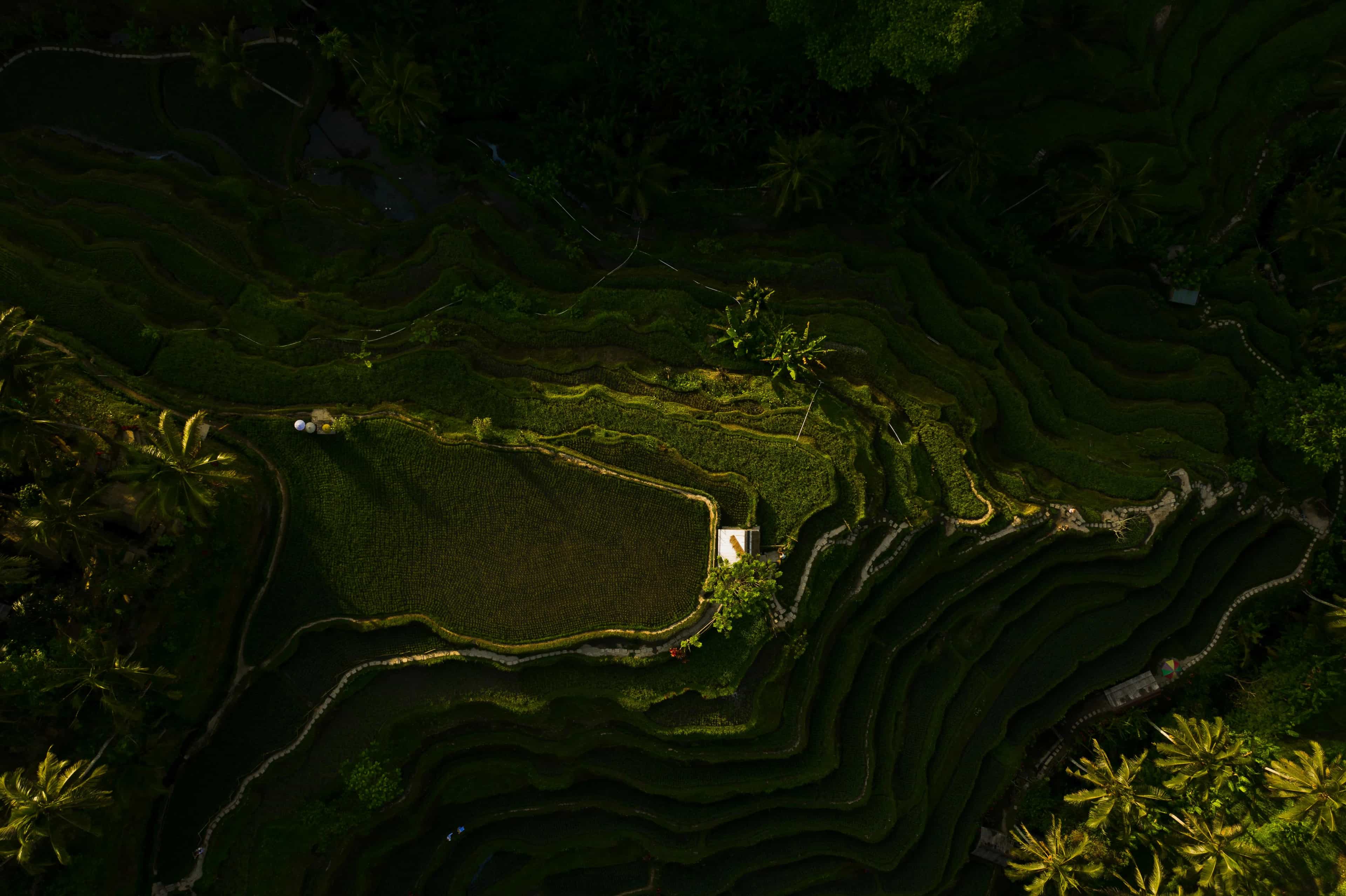 Mount Batur Sunrise Trekking