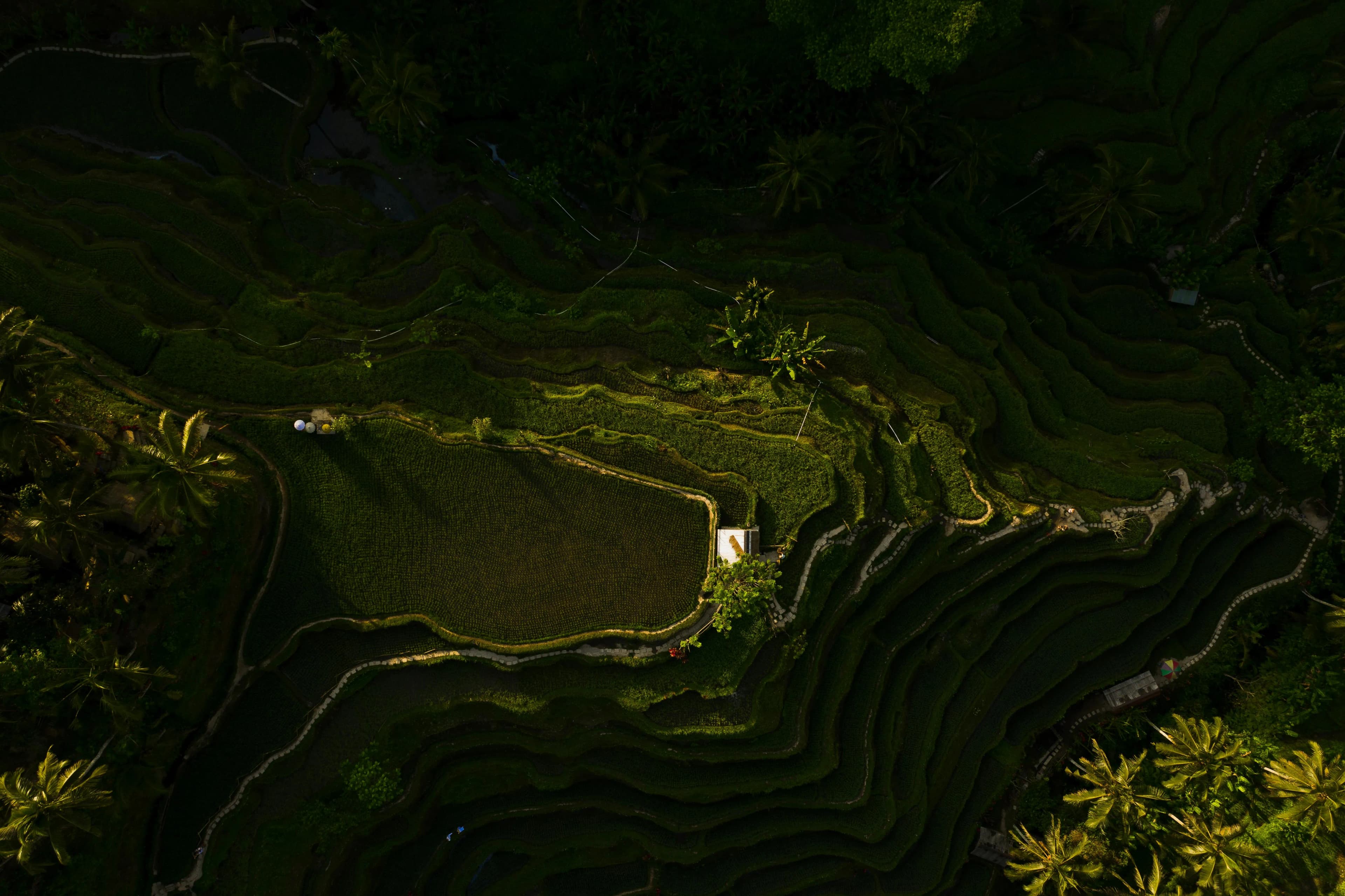 Mount Batur Sunrise Trekking - Photo 1